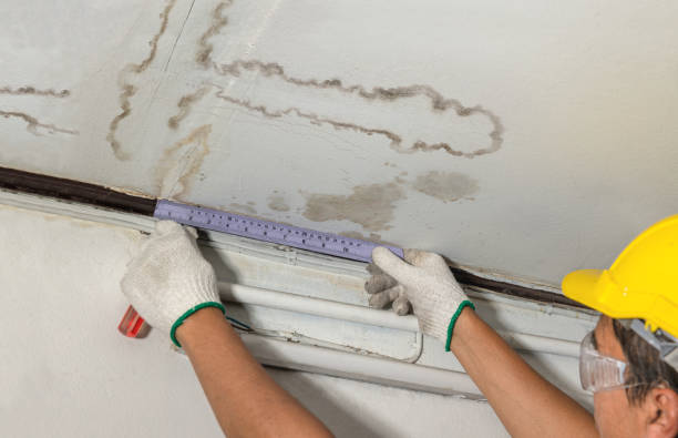 Reliable Mold Remediation contractor in Little Elm, TX by Water Damage Irwin